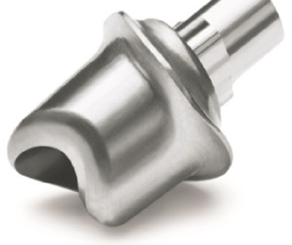 Custom Titanium Abutment
